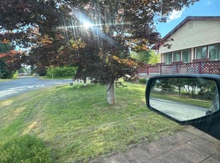 Linda C.'s Lawn Mowing Service service result