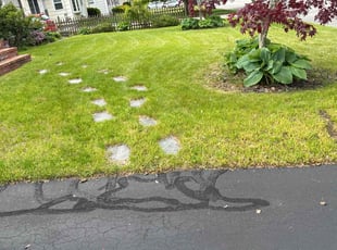 Dawn W.'s Lawn Mowing service result
