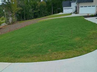 Marcia L.'s Yard Cutting service result