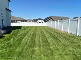 Michael S.'s Lawn Service service result