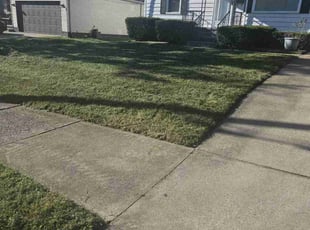 Brian T.'s Lawn Mowing service result