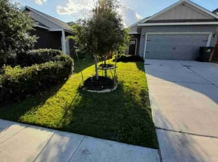 Iris F.'s Yard Cutting service result