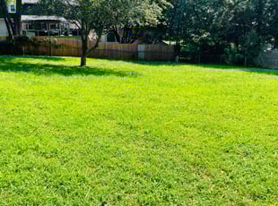 Justin S.'s Lawn Service service result