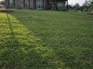 Casβja D.'s Lawn Care service result