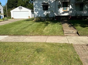 Darnell M.'s Grass Cutting service result