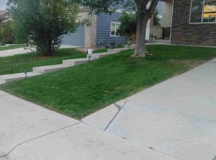 Stephanie R.'s Lawn Maintenance service result