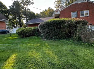 Bush Trimming by Carlos Portillo for Christopher W. in Springfield, VA