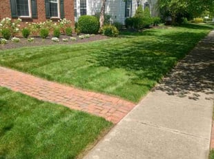 Doug R.'s Lawn Service service result