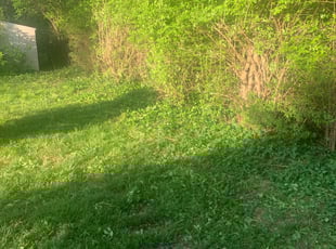 Landscaping by Dylan Butler for Nicole M. in Cincinnati, OH