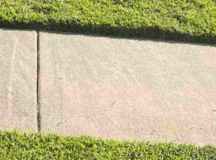 Mark S.'s Lawn Mowing service result