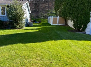 Mark F.'s Lawn Service service result