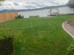 Matt N.'s Lawn Service service result