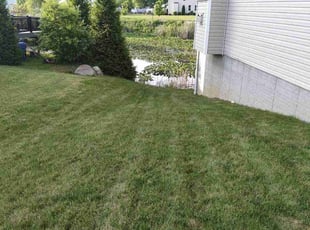 Traci C.'s Yard Cutting service result