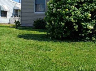 Angelic R.'s Lawn Care service result