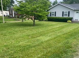 Derek M.'s Lawn Service service result