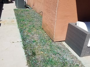 Weeding by Raul Blanco for Isaiah R. in Gilbert, AZ
