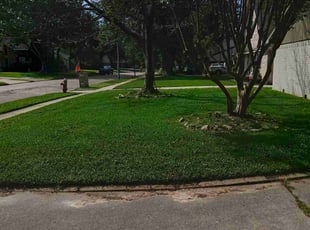 James s.'s Lawn Maintenance service result