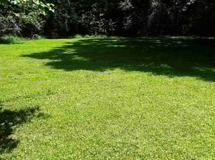 Malcolm T.'s Lawn Care service result