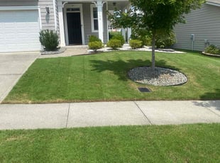 Alfreda C.'s Lawn Mowing service result