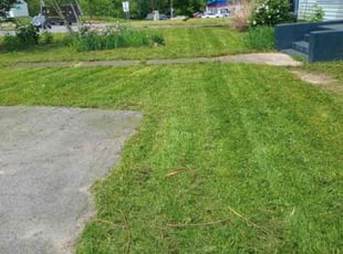 Wayne F.'s Lawn Mowing service result