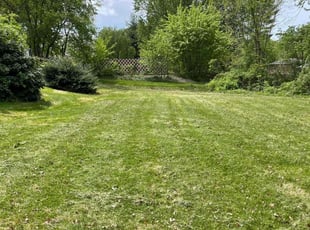 Andrew G.'s Lawn Care service result