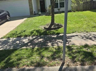 Naticia D.'s Lawn Mowing service result