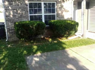 Bush Trimming by Sheila Aills for Lestine S. in Lafayette, IN