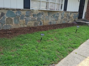 Weeding by Marion Williams for Nicoya S. in Bowie, MD