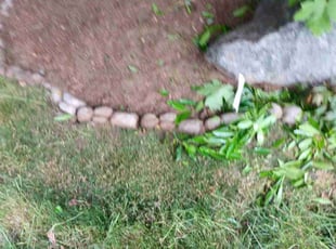 Weeding by Robert Martin for Cindy F. in Marysville, WA