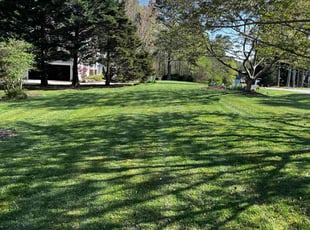 John H.'s Grass Cutting service result