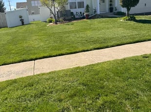 Tyrus R.'s Lawn Care service result