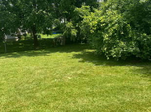 Elizabeth E.'s Lawn Service service result