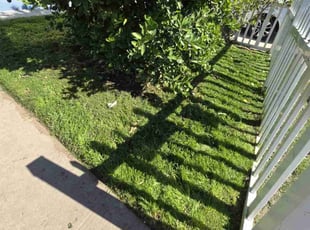 Jeremiah S.'s Lawn Care service result