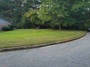 Savannah V.'s Yard Cutting service result