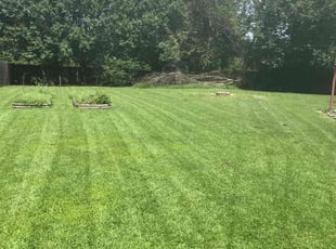 Demetrius G.'s Lawn Mowing service result