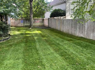 Jim Y.'s Lawn Care service result
