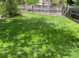 Bob S.'s Lawn Care service result