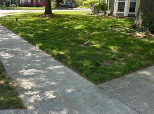 erik k.'s Lawn Mowing Service service result