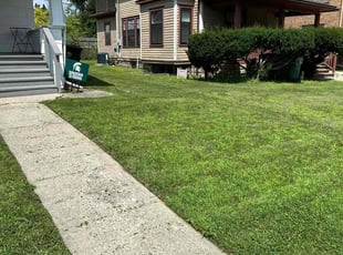 Daniel A.'s Yard Cutting service result