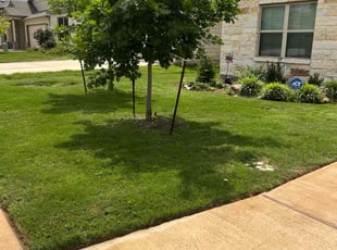 Karla W.'s Lawn Service service result