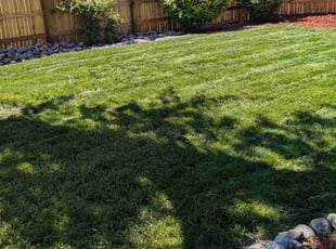 Lou W.'s Lawn Maintenance service result