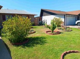 Charlesetta S.'s Lawn Service service result