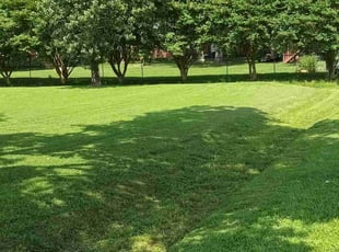 Joseph S.'s Lawn Mowing service result