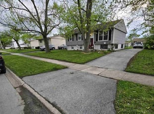 Kara H.'s Lawn Mowing service result