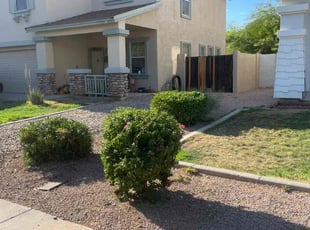 Bush Trimming by Andrew Hoodzow for Karol S. in Mesa, AZ