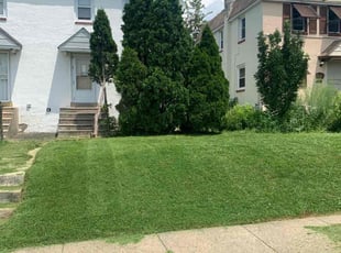 Johnny S.'s Lawn Mowing service result