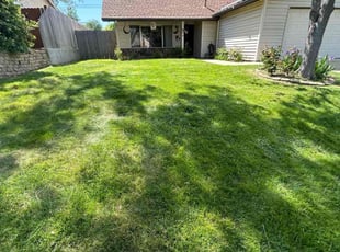 Nancy M.'s Lawn Mowing service result