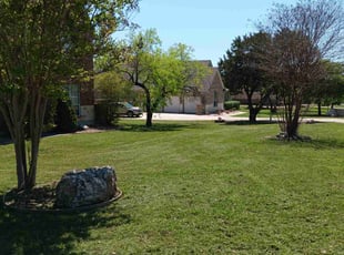 Rich M.'s Lawn Mowing service result