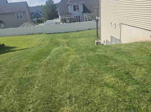 Julio G.'s Yard Cutting service result
