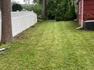 Patricia T.'s Lawn Mowing service result